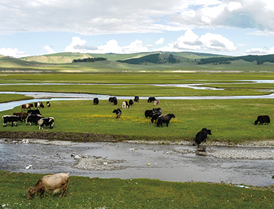 제국의 기상을 품은 순수의 땅, 몽골