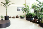 틸테이블의 쇼룸 모습. 대형 식물과 매치한 심플한 화기들은 각각 높이와 크기가 달라 공간에 리듬감을 준다. 