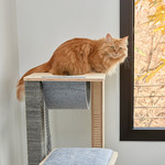 일부러 창 옆에 놓아둔 캣 타워
고양이 ‘율이’는 풍경을 감상하고 부부는 그 모습을 감상하며 힐링한다. 